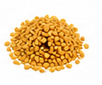 Fenugreek