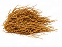 Vetiver Roots