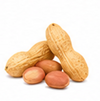 Peanut Oil