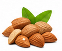 Almond Oil
