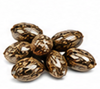 Castor Oil